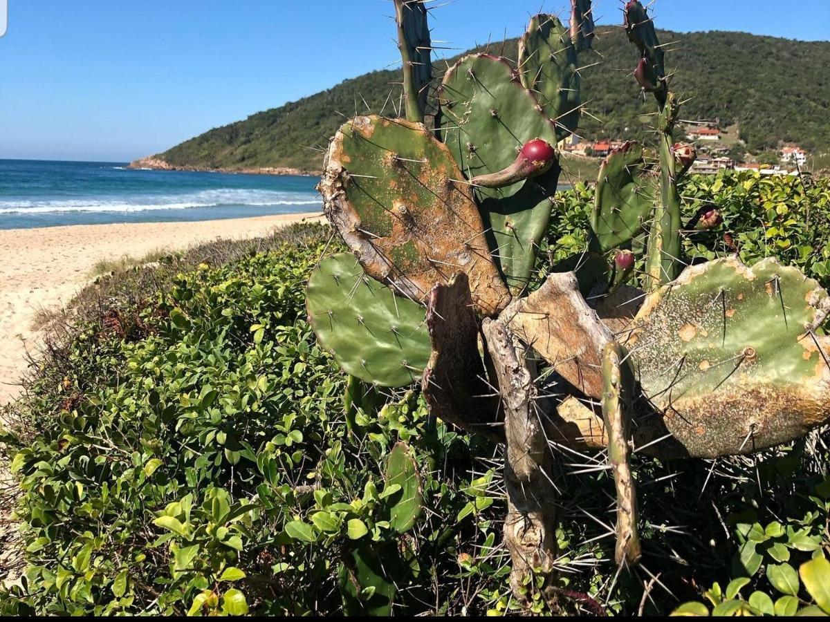 Cantinho Do Paraiso 甘博阿 外观 照片